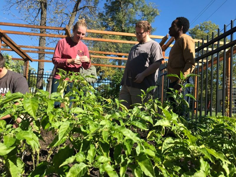 Students volunteer at the Sprout Garden