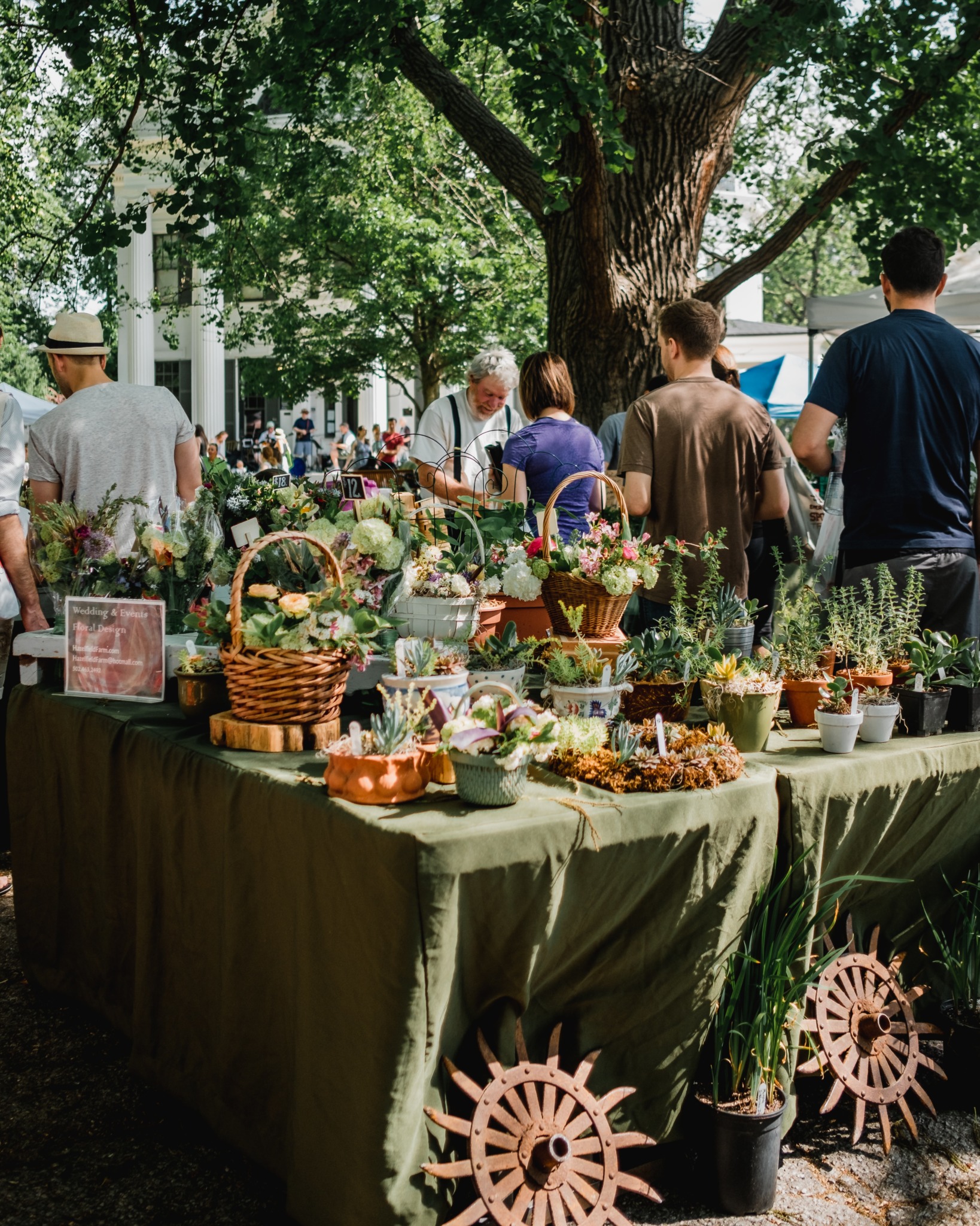 farmer's market