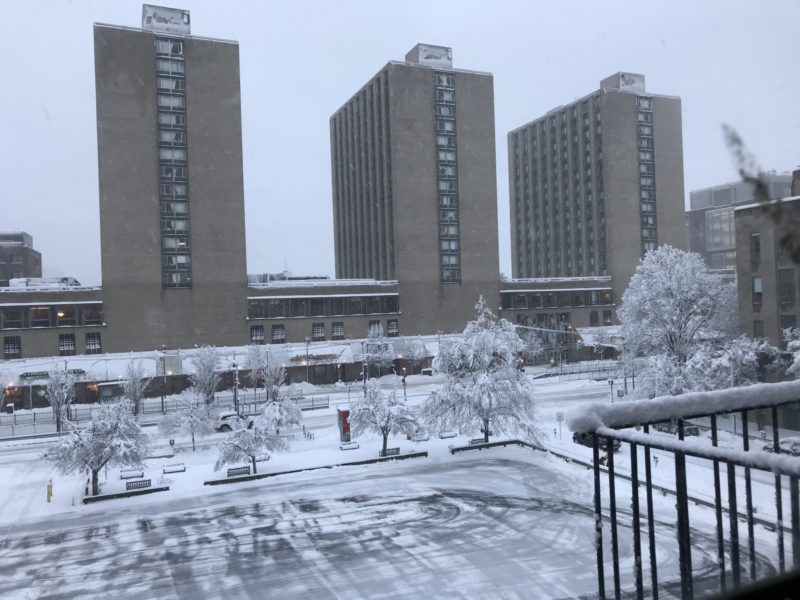  Bay State Road facing Warren Towers 