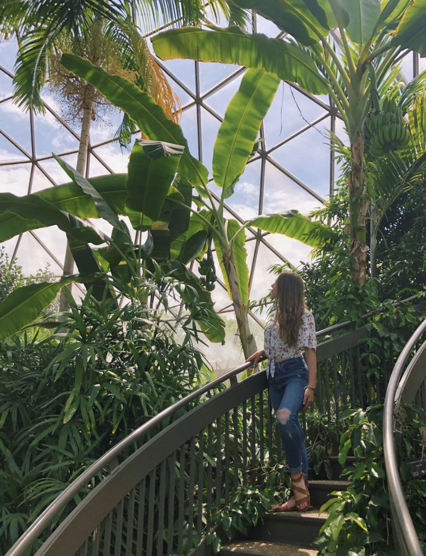 greater des moines botanical garden