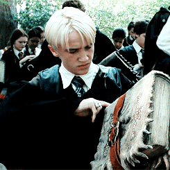 draco holding a book and smugly smirking