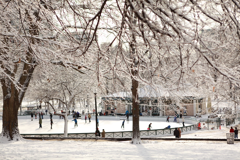 photo of people ice skating at Boston's Frog Pond in winter