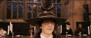 sorting hat puts harry in gryffindor