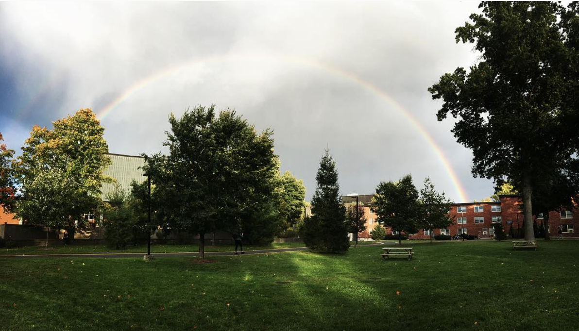 new paltz with a rainbow over trees