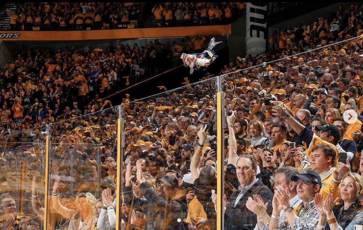 a catfish being thrown onto the ice at a Nashville Predators hockey game