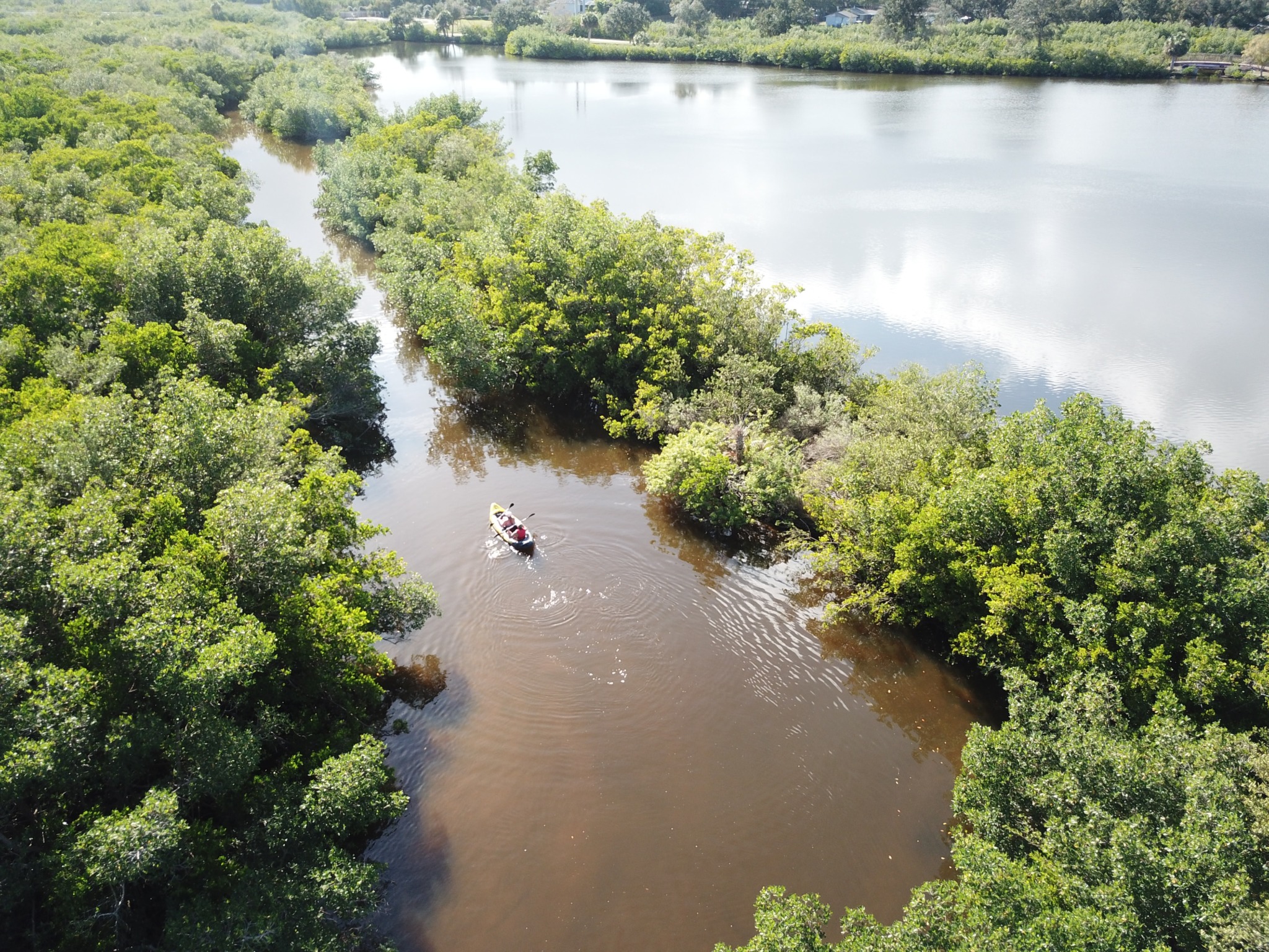 kayak