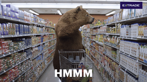 an animated bear doesn't know what to buy at a supermarket