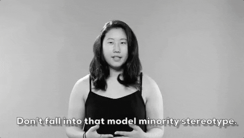 model minority