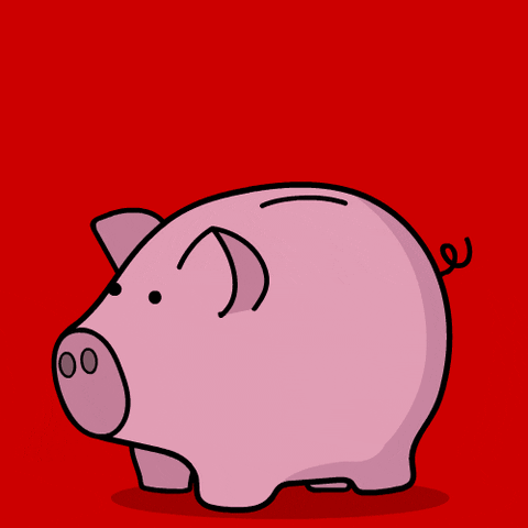 piggy bank grows with more money