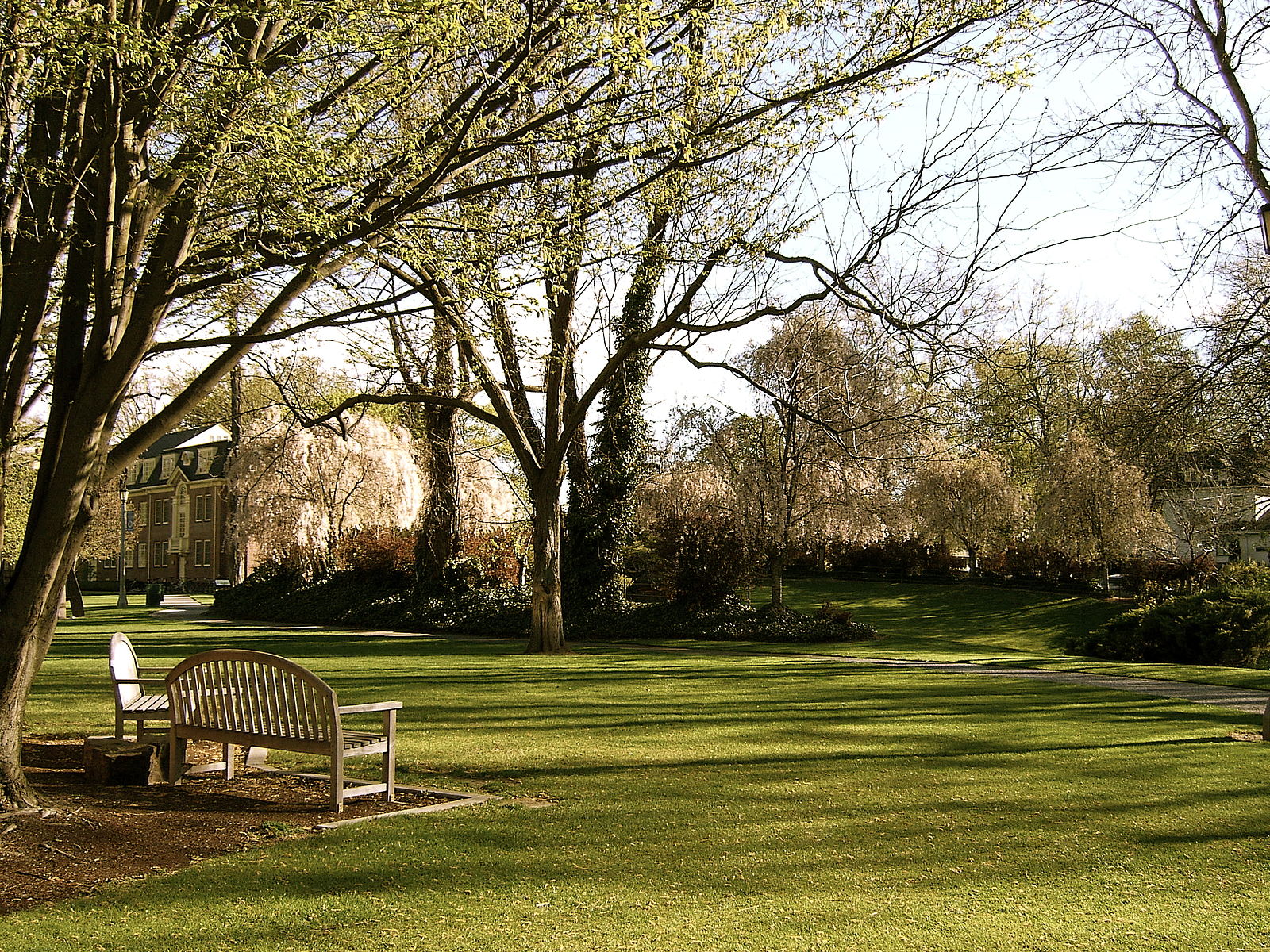 Whitman college field with a bench and trees