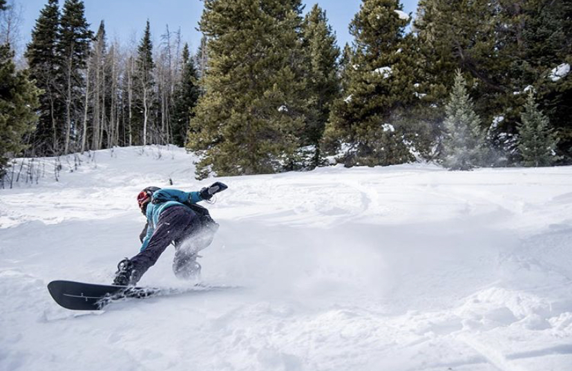 shred