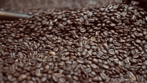 dark roast