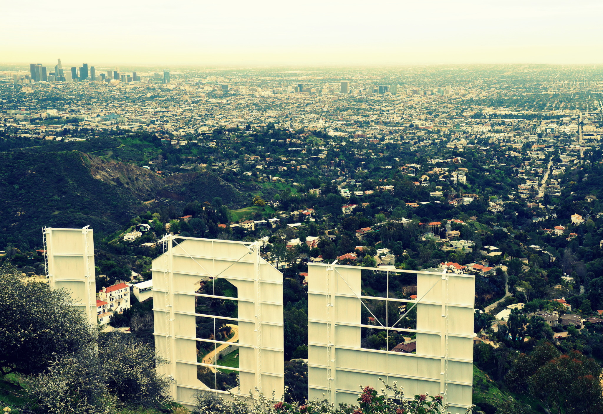 photo take from behind the Hollywood sign overlooking Los Angeles