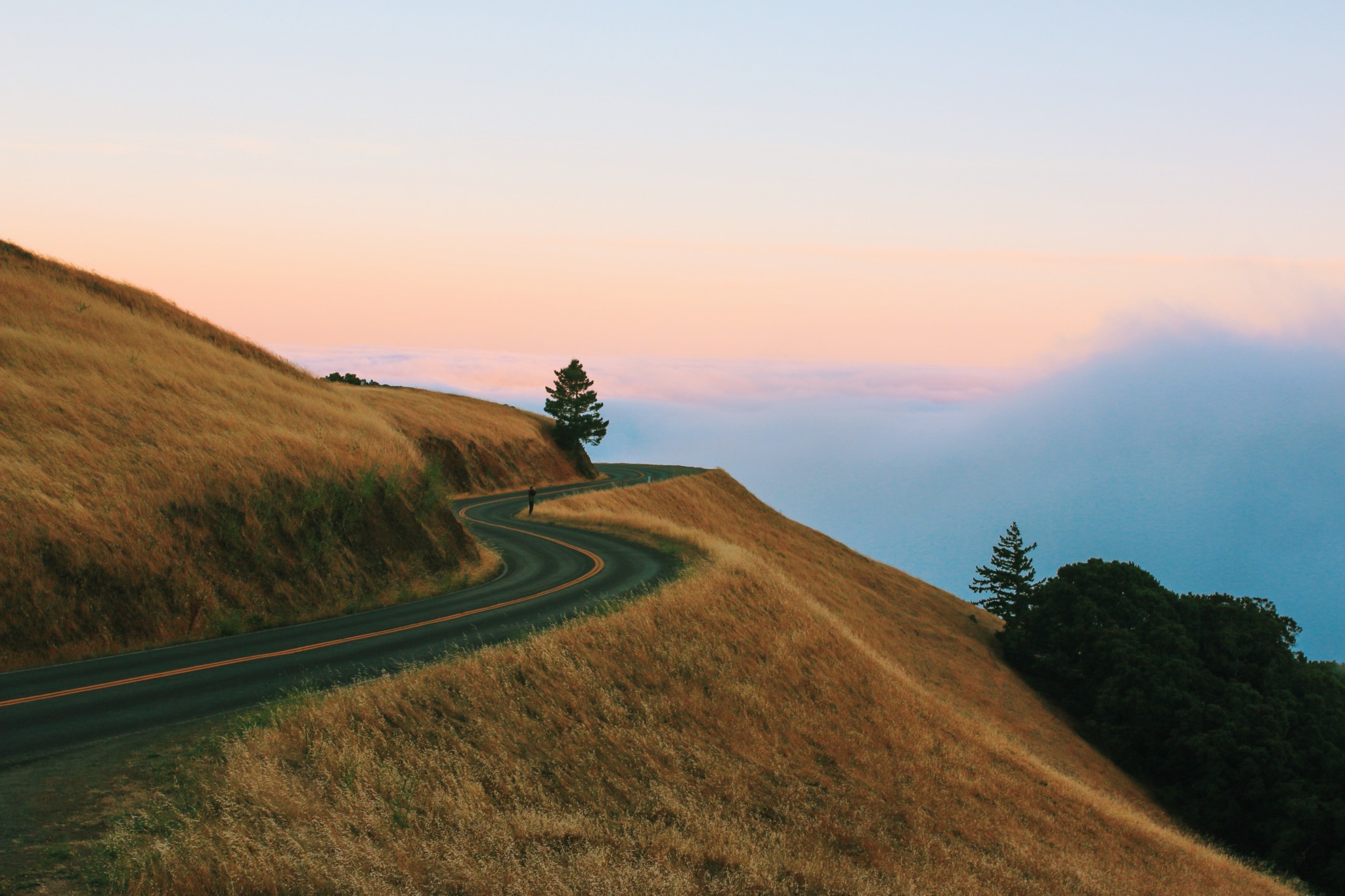 Mount Tam