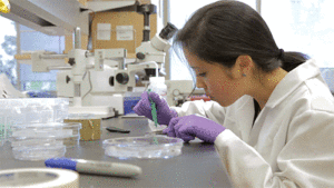 girl in lab