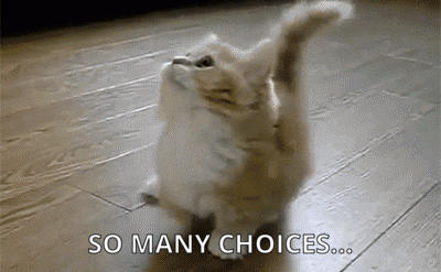 cat running around in circles looking up with caption "so many choices"