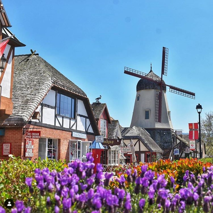 Solvang Windmill in the middle of the day. Makes for a great road trip.