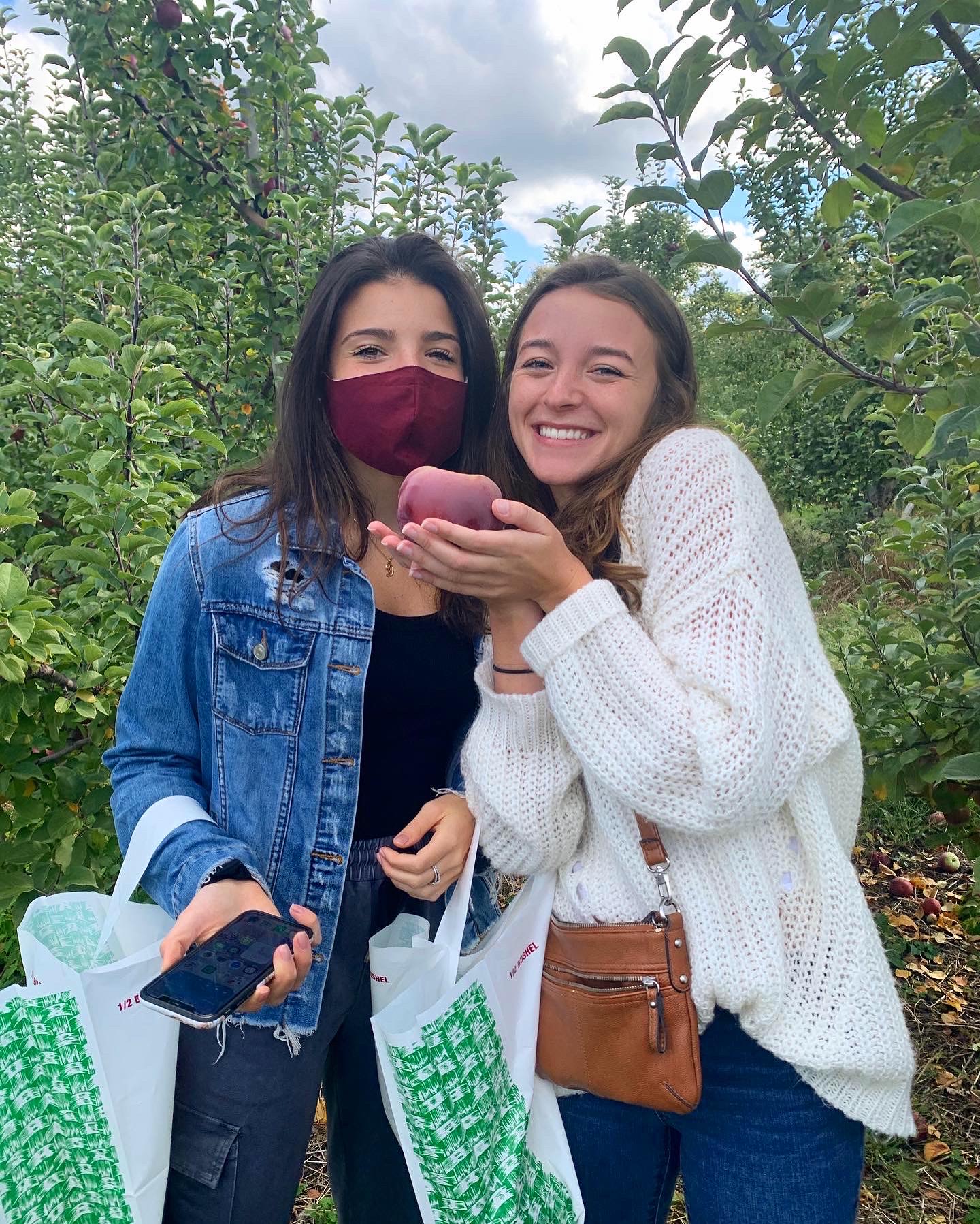 apple picking