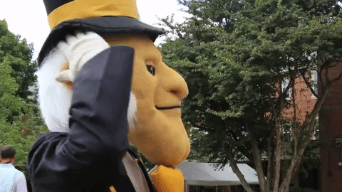 gif of wake forest demon deacon