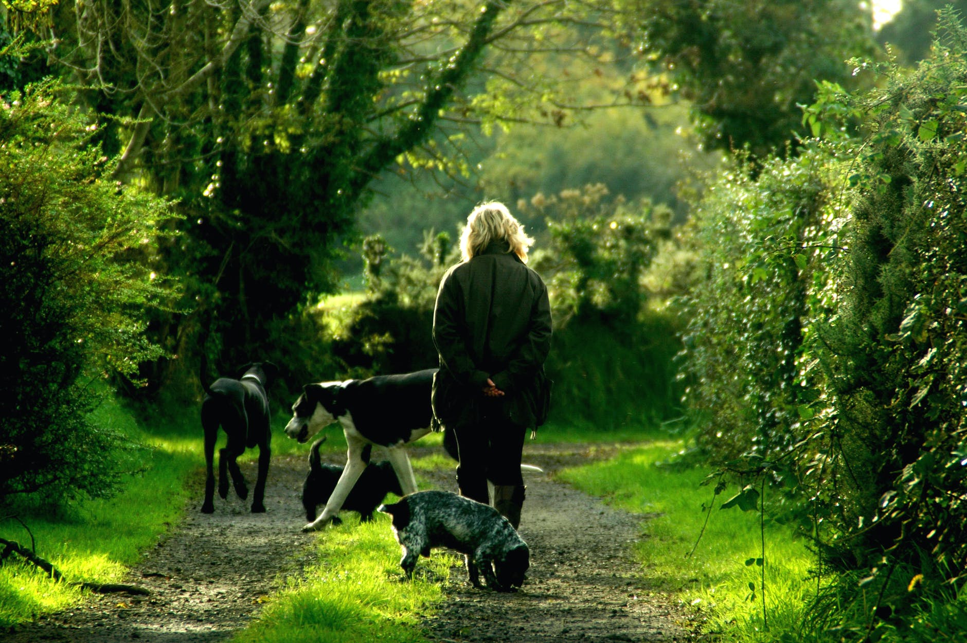 Woman walking with animals outside