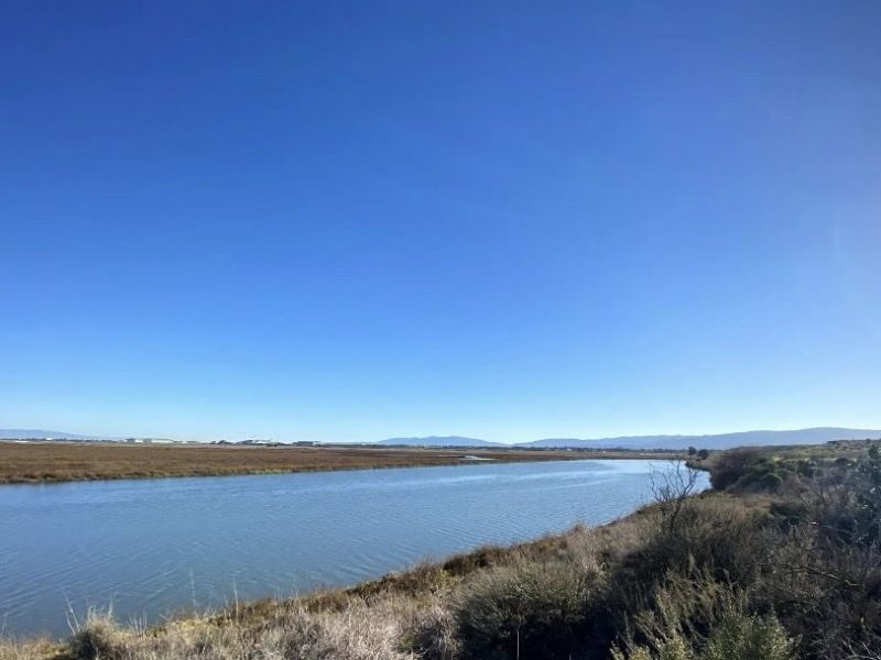 palo alto baylands