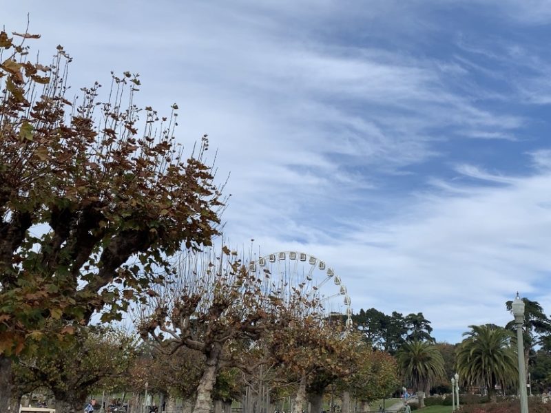 golden gate park