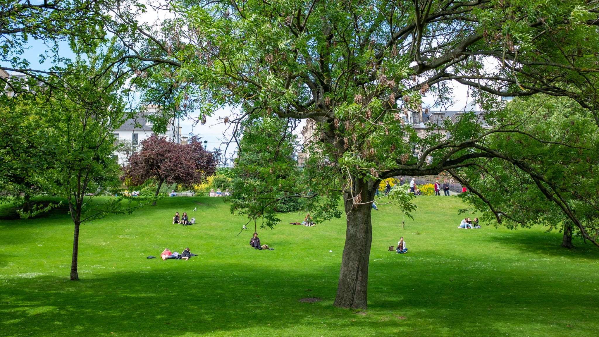 relaxing in park