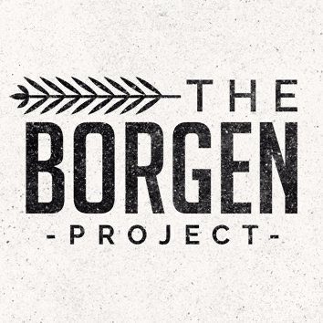 the Borgen project logo