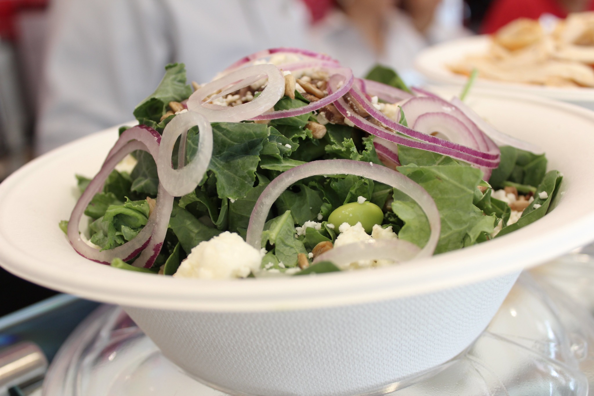 salad northeastern best college food