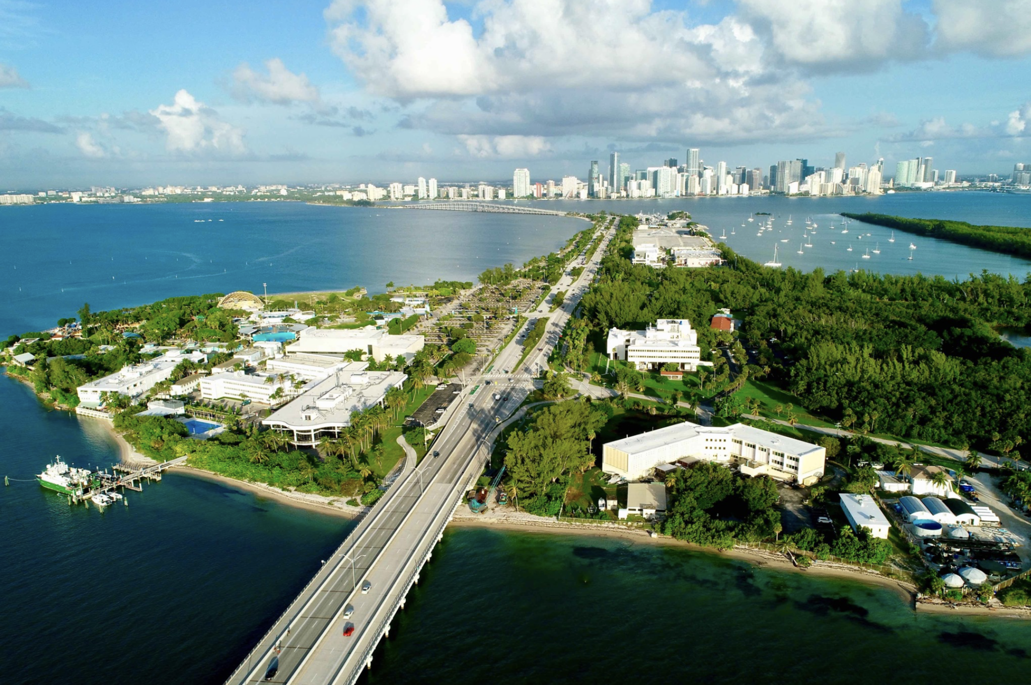 University of Miami