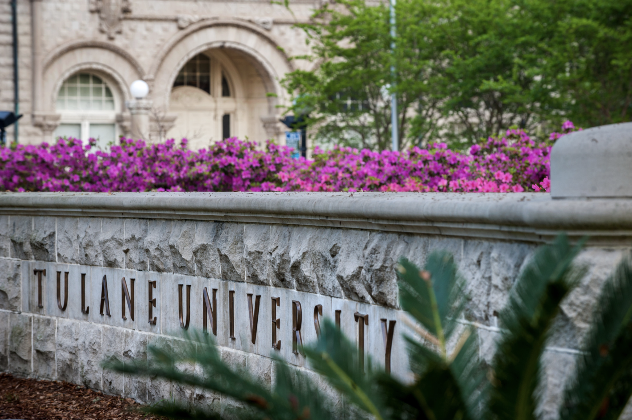 Tulane University