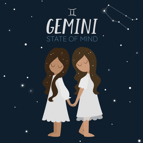 Zodiac Signs Gemini