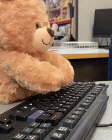 bear Typing gif
