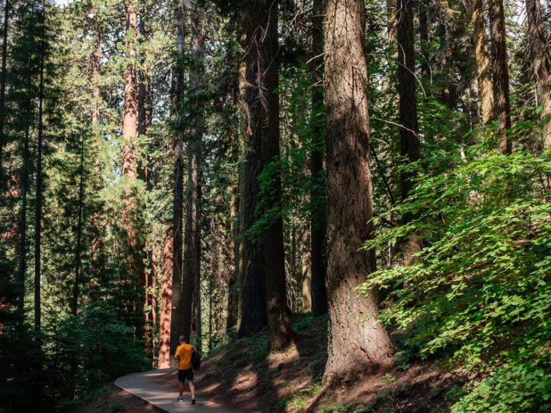 Nature Walks on Valentine's Day