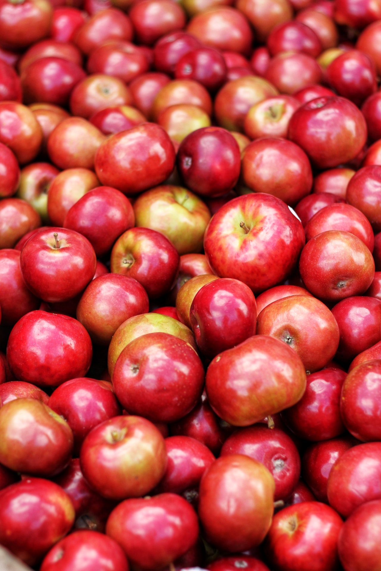 The great british baking show apples