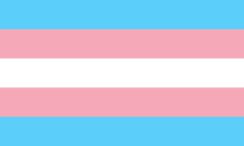 Monica Helm's Transgender Flag