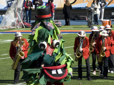 stanford tree