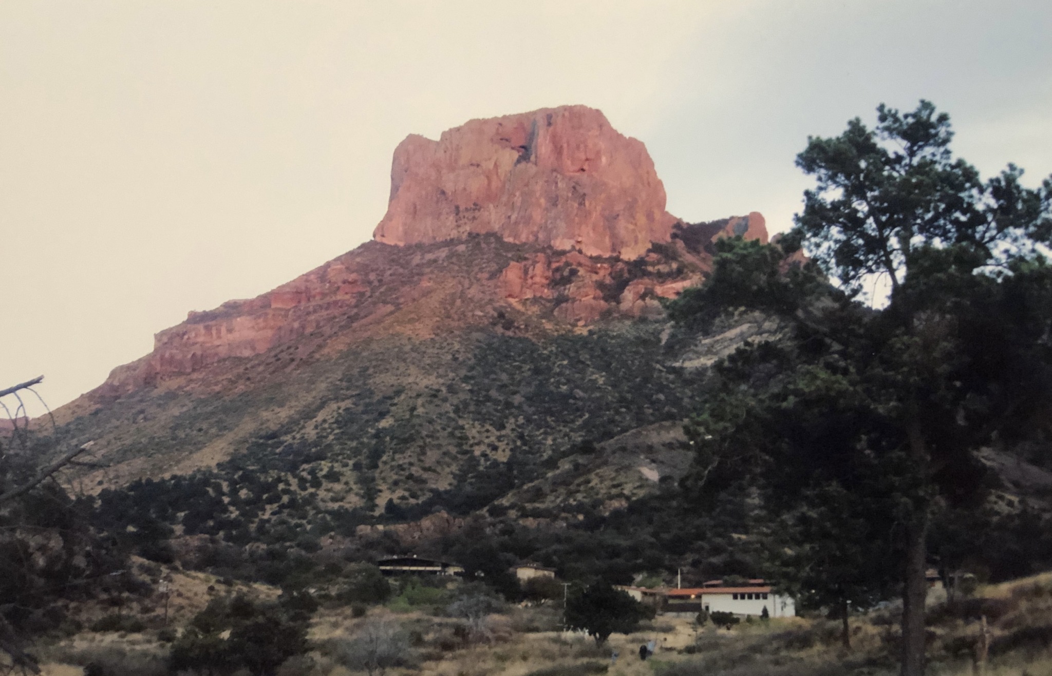 Terlingua