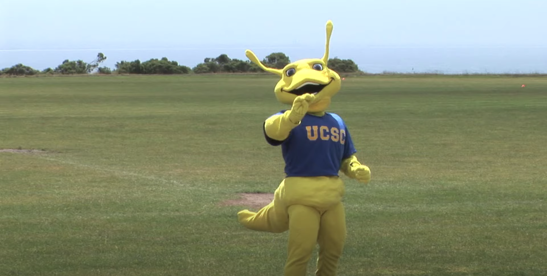 Sammy the Banana Slug: University of California Santa Cruz