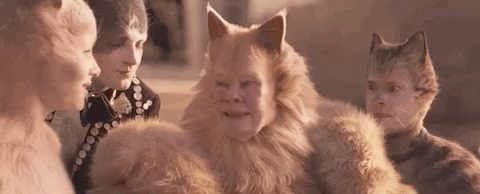 Cats 2019 gif
