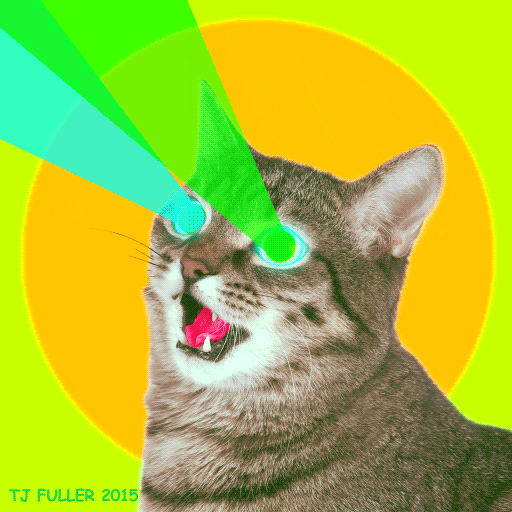 Laser Eyes Cat gif