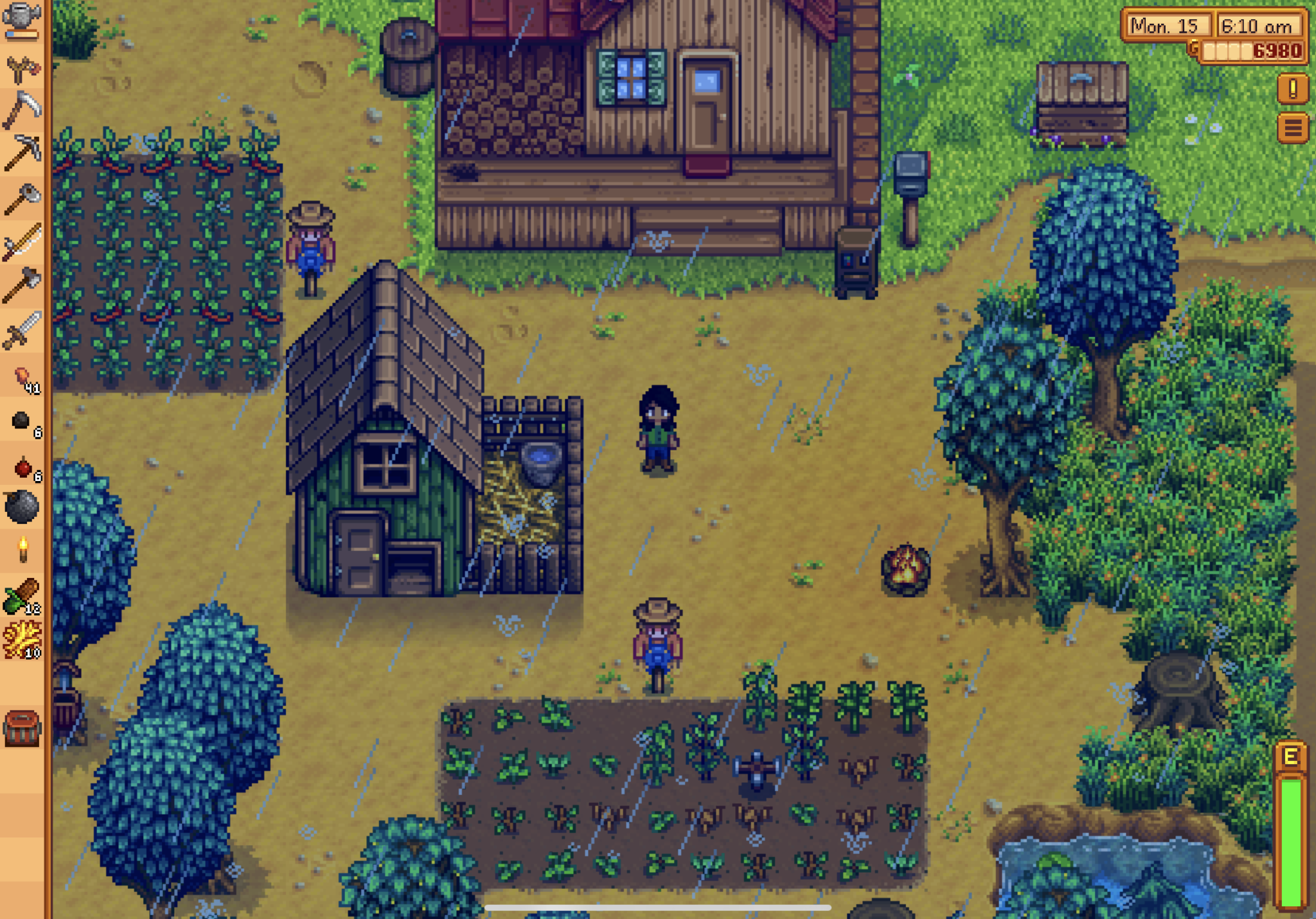 Friendship stardew valley