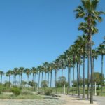 long beach