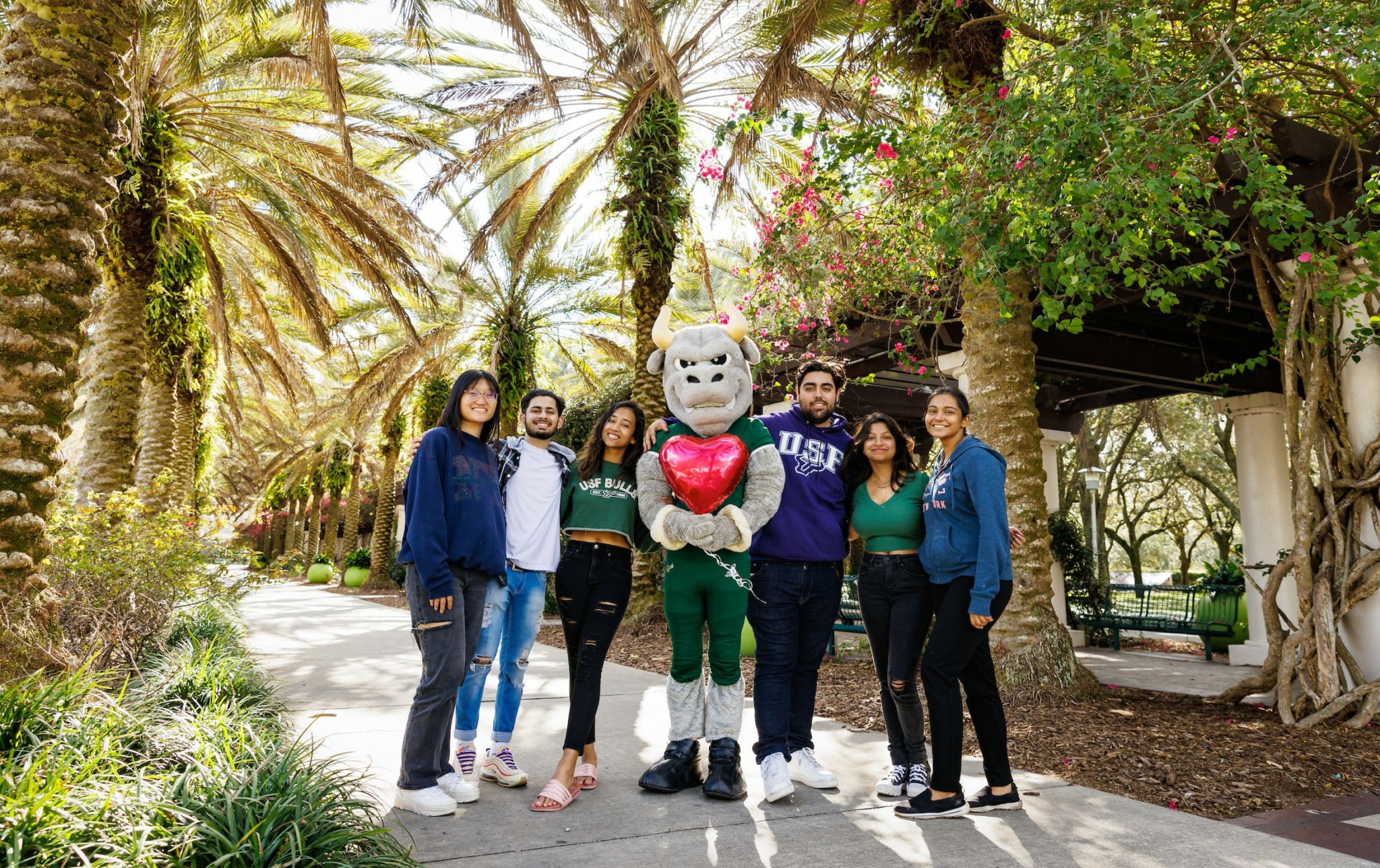 University Of South Florida university-of-south-florida