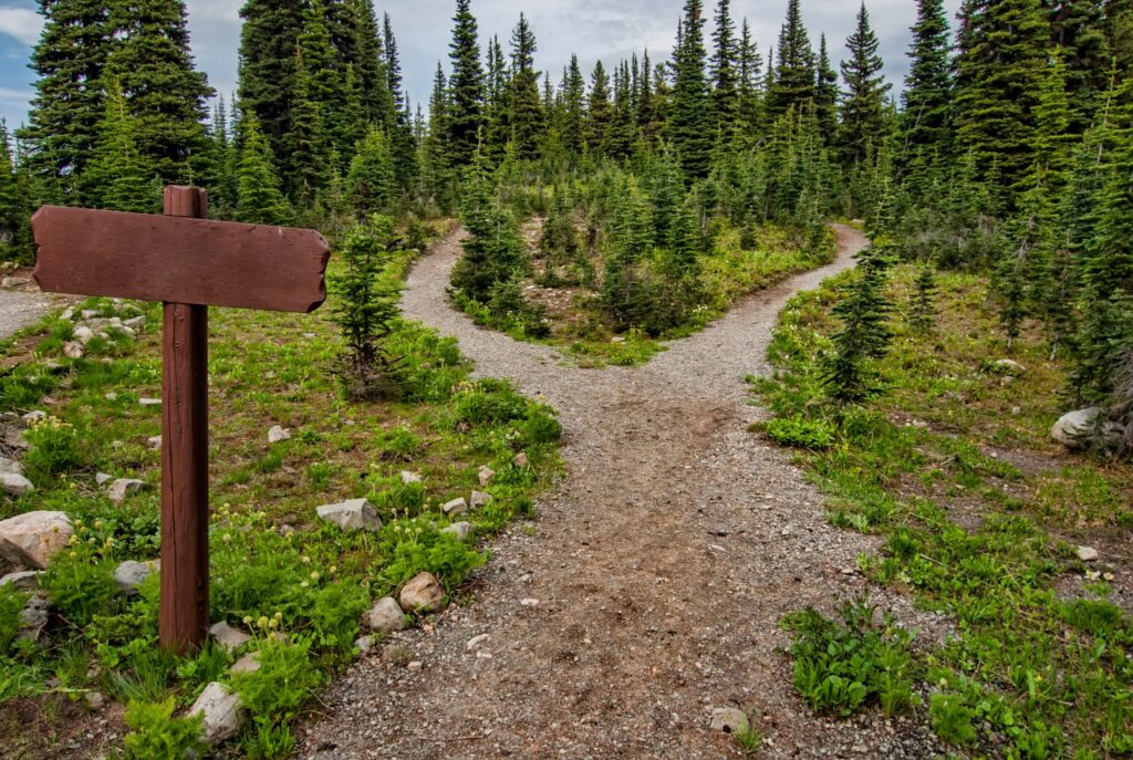 Forks in the road demand decisions.
