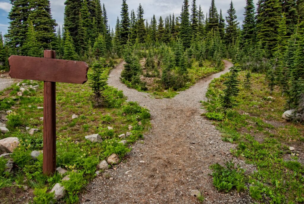 Forks in the road demand decisions.