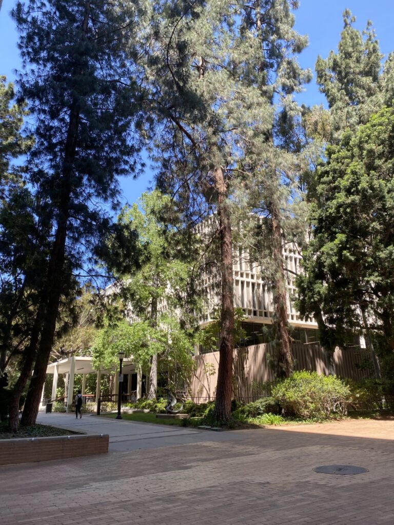 Photo of the exterior of a library at UCLA