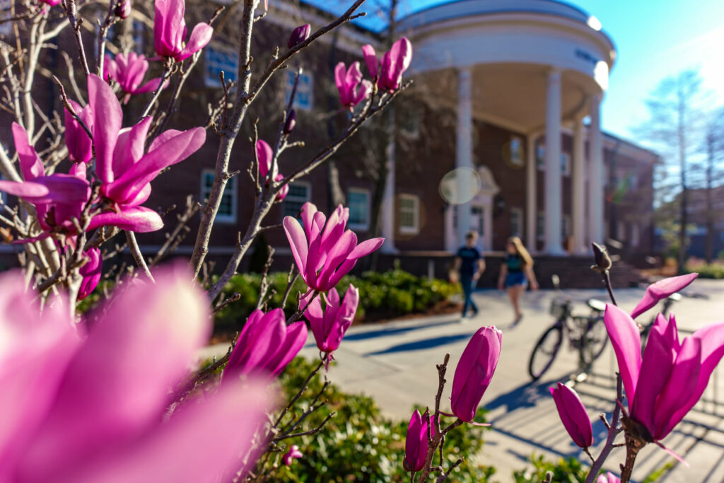 UNCW, BFA in creative writing