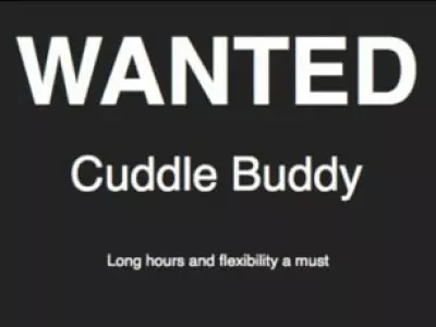 Wanted sign for finding a cuddle buddy. Long hours and flexibility a must.