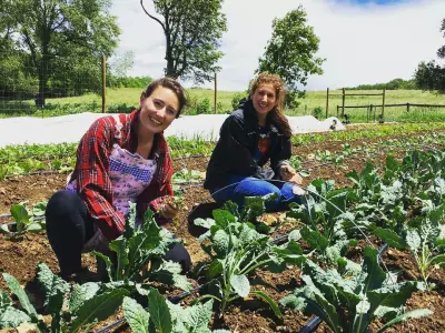 environmentally friendly colleges